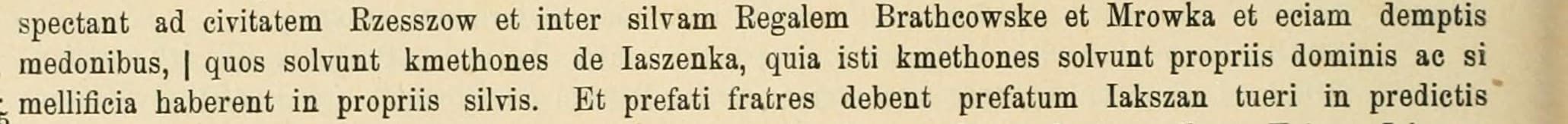 Printed Latin entry no. 3058 with the words kmethones de Iaszenka